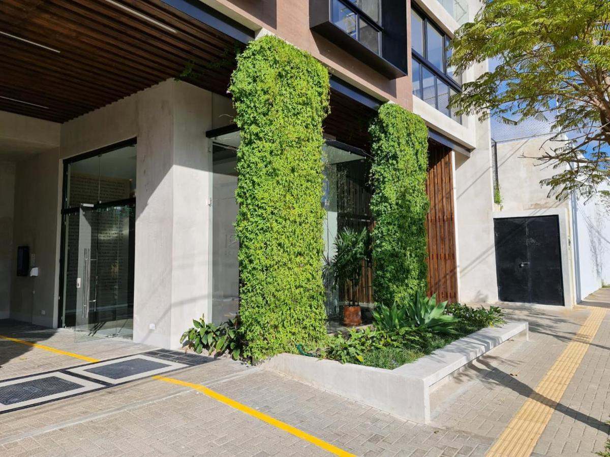 Bee Suites San Jose - Escalante Экстерьер фото